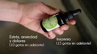 Jalea Real CBD 1000mg Oliva | CANNADICINA.COM