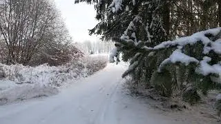 Sn&oslash; i tr&aelig;r