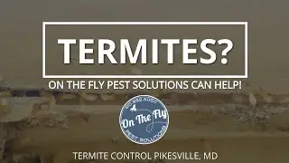 Termite Control Pikesville Maryland - (410) 982-5050 - On The Fly Pest Solutions