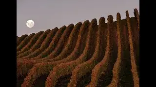 The Greywacke Story