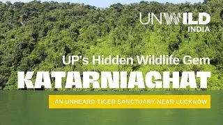 A Hidden Wildlife Gem | Katarniaghat Wildlife Documentary Film | English