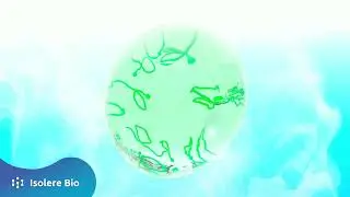 Isolere Bio - accelerating bioprocessing and therapeutic manufacturing