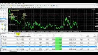 Wakusa EA Forex EA Forex Robot live trading - Download