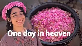 One day in the Capital of rosewater! Make everything out of roses!