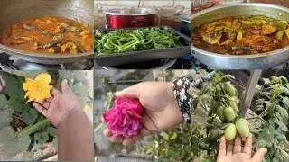 স্বামীর অনেক কষ্টের ইনকামের টাকা দিয়ে কিছু কিনে ঠকলে কিরকম লাগেযে যে ঠকে সে বুঝে 