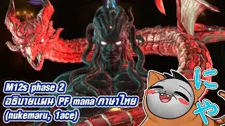 ไกด์ (รึเปล่า?) อธิบายแผน M12s p2 ของ DC mana
