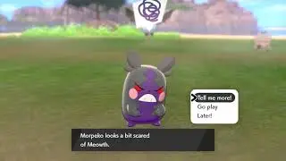 Morpeko looks a bit scared of Meowth.