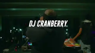 DJ CRANBERRY GETS BUSY AT DJ DOLLAZ BIRTHDAY PARTY MOVIE !!