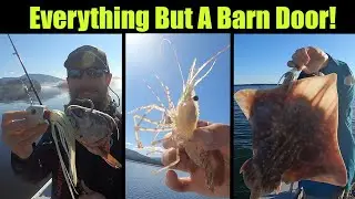 Everything But A Barn Door! Alaskan Halibut Fishing - Petersburg, Alaska! AUGUST 2021