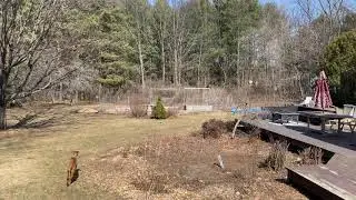 Mavic 2 Pro COVID-19 emergency response vehicle (toilet paper drone)