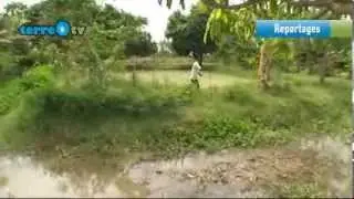 CODEGAZ agit pour les populations du Cambodge par la promotion du SRI
