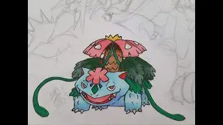 Mega Venusaur showdown team