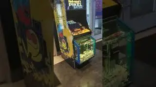 DAVE BUSTER