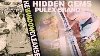 Hidden Gems: Pulex