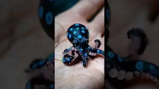 Unaccepted Small To Giant Animal Traisnformission...!!