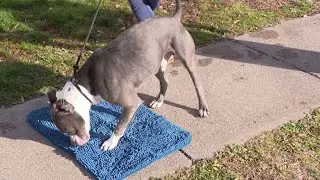 The Mud Away Mat | Does It Really Work?