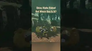 Which Alpha Bidoof Is Shiny? Pok&eacute;mon Legends Arceus #shorts