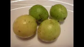 Guava 101 - How to Prepare Guava