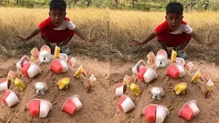 Survival Skills: SMART idea and USEFUL In Forest with Single Mom #camping #outdoors