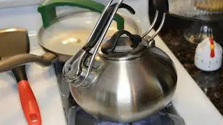 Chantal Classic Loop Brushed Stainless Steel Teakettle Review