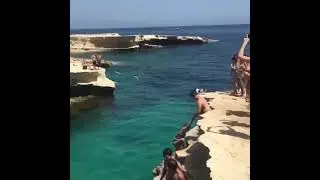Funny Animals Vol. 1 | Animals Doing Things
