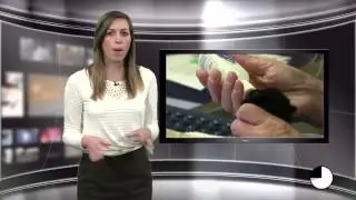 Midday Minute, April 22: Uber legal in Portland, Earth Day issues and bottle-feeding kittens