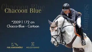 Chacoon Blue - Springkollektion 2022 Schockemöhle & Helgstrand (DEU)