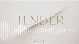 Tender - MICRO Digital Echoes