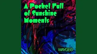 A Pocket Full of Sunshine Moments