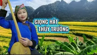MỜI TRẦU THEN CỔ , Thúy Trường Tb 🎶❤️