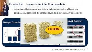 Vortrag Dr  Lohan &uuml;ber Hautalterung