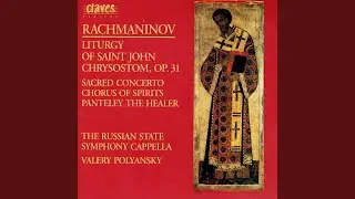 Литургия св. Иоанна Златоуста, Op. 31: VI. 