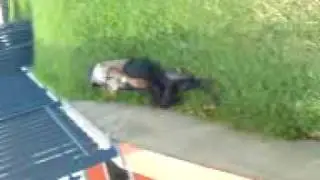 GUARDIA DE SAN PEDRO DORMIDO PARTE 1