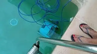 Чистка бассейна роботом Dolphin Z Fun