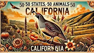 California Quail: The Golden State&rsquo;s Charming State Bird 🐦✨