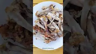 Alimentos proibidos para seu cachorro