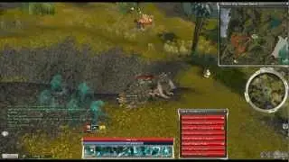 Guild Wars - MQSC Rit Wallow Team