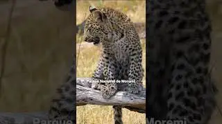 Botsuana e Victoria Falls - Grupo Exclusivo Adventure Club