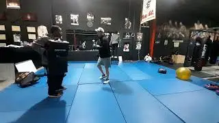 kick shield and burnout punches