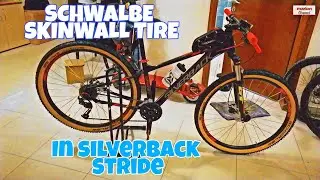 SILVERBACK STRIDE 29er l SCHWALBE SKINWALL TIRE