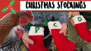 HOW TO MAKE CHRISTMAS STOCKINGS FOR YOUR CHICKENS/PETS!🎄🎁🎅