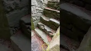 Monaincha Abbey,County Tipperary.