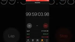 Timer going from 99 hours to 100