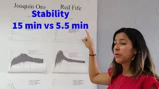 Intro to Wheat Quality: Protein Quantity vs Quality