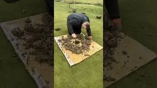 Improving drainage on the greens 💪🤯🏌️&zwj;♂️ #golf #golflife #golfer #shorts #greenkeeper
