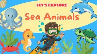 Let's Explore Sea animals| Learning video for kids and toddlers-Preschoolers and kindergarten