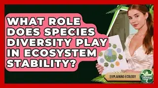 What Role Does Species Diversity Play In Ecosystem Stability? - Explaining Ecology