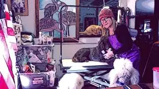 #voiceoverspecial Standard Poodles, #dogs,#voiceover  pets, cats,grooming grooming 101 with Brigitte