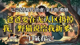 貓貓俠