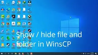 Hide Show file and folder in WinsCP